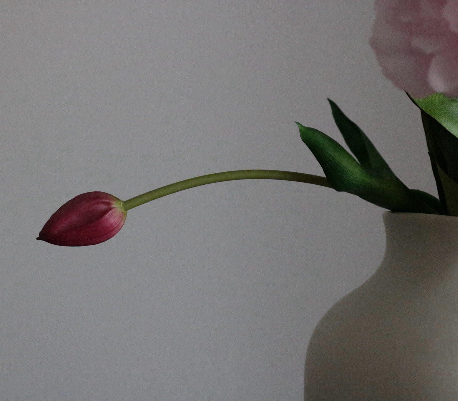 Blush Pink