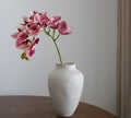 Pink Orchid