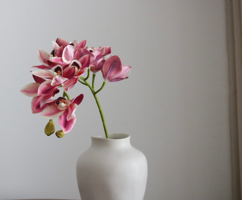 Pink Orchid