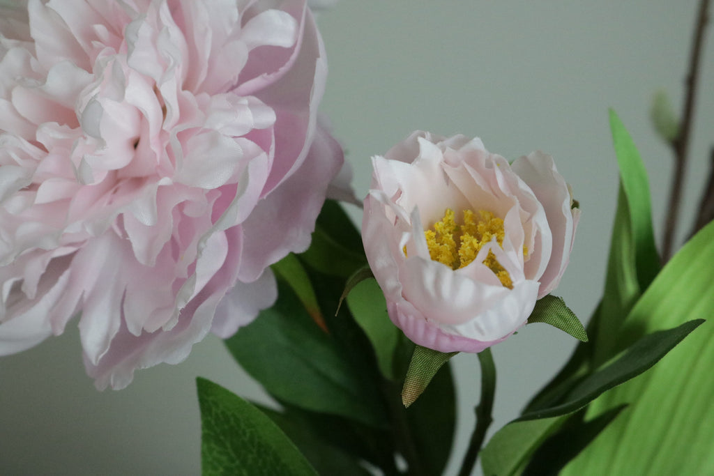 Blush Pink